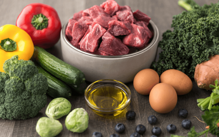 best gently cooked dog food